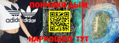 индика Владимир