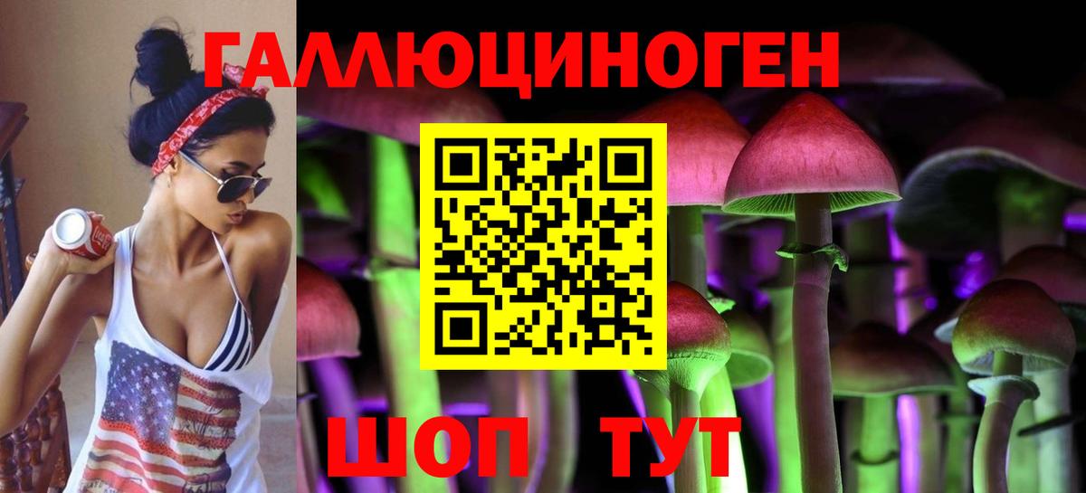 Галлюциногенные грибы Psilocybine cubensis Воскресенск